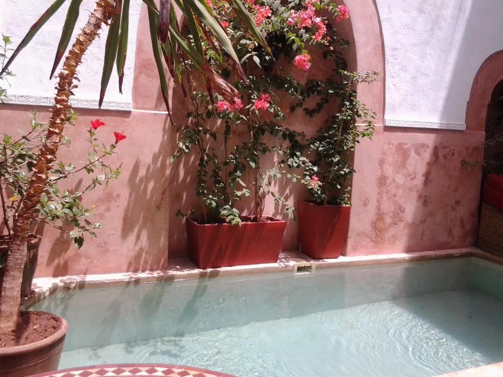 Ryad Dar Ganou Marrakesz Zewnętrze zdjęcie