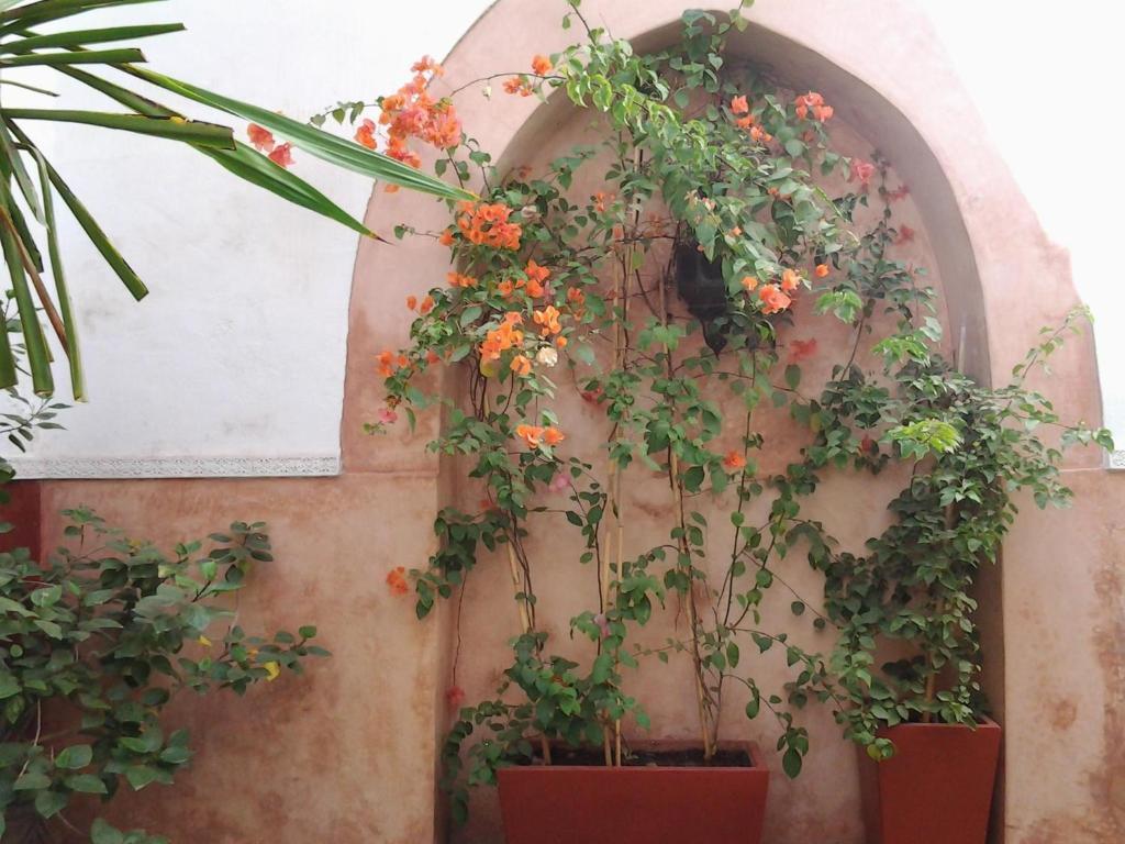 Ryad Dar Ganou Marrakesz Zewnętrze zdjęcie