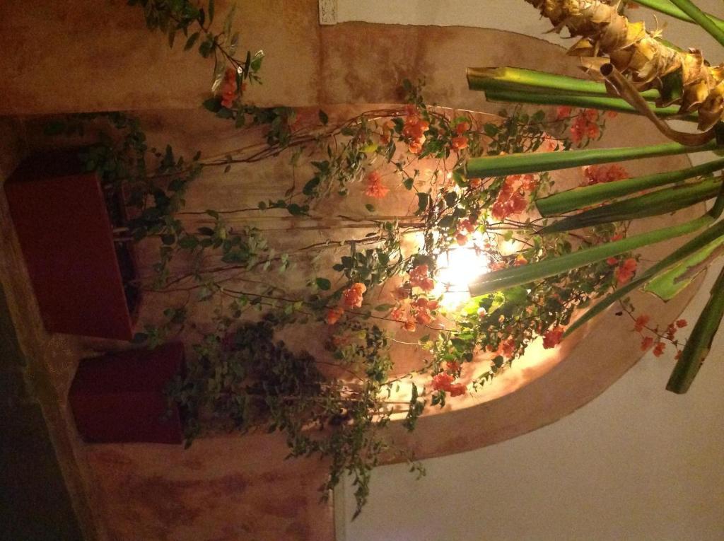 Ryad Dar Ganou Marrakesz Zewnętrze zdjęcie